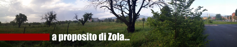 A proposito di Zola...